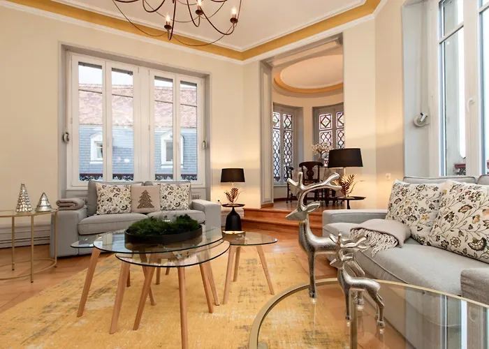 Place Des Dominicains 公寓 科尔马