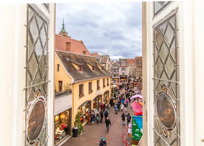 Place Des Dominicains 아파트